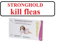 Load image into Gallery viewer, Strong for dogs and cats  (3 Month Supply)