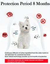 Load image into Gallery viewer, Dog and Cats Anti Flea Antiparasitic Collar