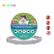 Load image into Gallery viewer, Dog and Cats Anti Flea Antiparasitic Collar
