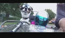 Load and play video in Gallery viewer, Dog Sunglasses Windproof UV Protection For Medium Large Dogs