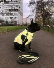 Load image into Gallery viewer, REFLECTIVE Jacket for dogs