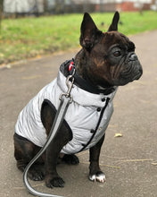 Load image into Gallery viewer, REFLECTIVE Jacket for dogs