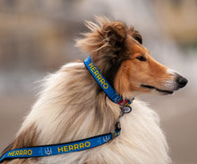 Load image into Gallery viewer, Nylon dog lead WAUDOG, pattern "Dog PATRON"