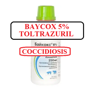 Load image into Gallery viewer, BayCo Solution 5% for Cattle, Pig (250ml / 8.45oz)