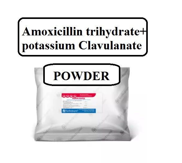 Powder AMOCLAV for chickens, pigs, dogs, cats – 500g (1.1lb)