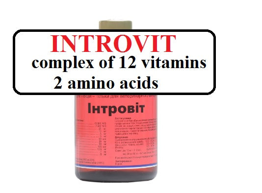 Introvit Vitamin Coml *inj (100 ml/3.38 oz) for horses, cattle,  sheep, goats, calves, pigs