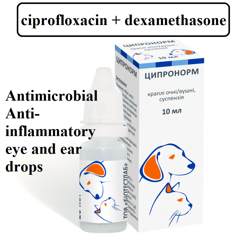 Ciprofloxacin ear drops for dogs best sale