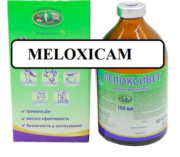Meloxy  for Cattle, Horses, Dogs and Cats 100 ml (3.38 oz) inj*