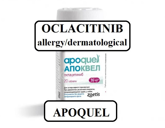 Oclacitinib buy online best sale