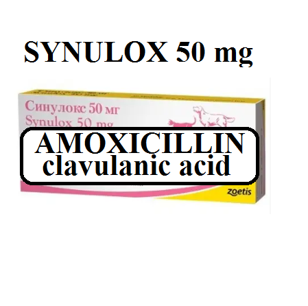 SYNULOX 250 MG (10 TABLETS) FOR DOGS AND CATS – Tylosin Tylan Vet Store